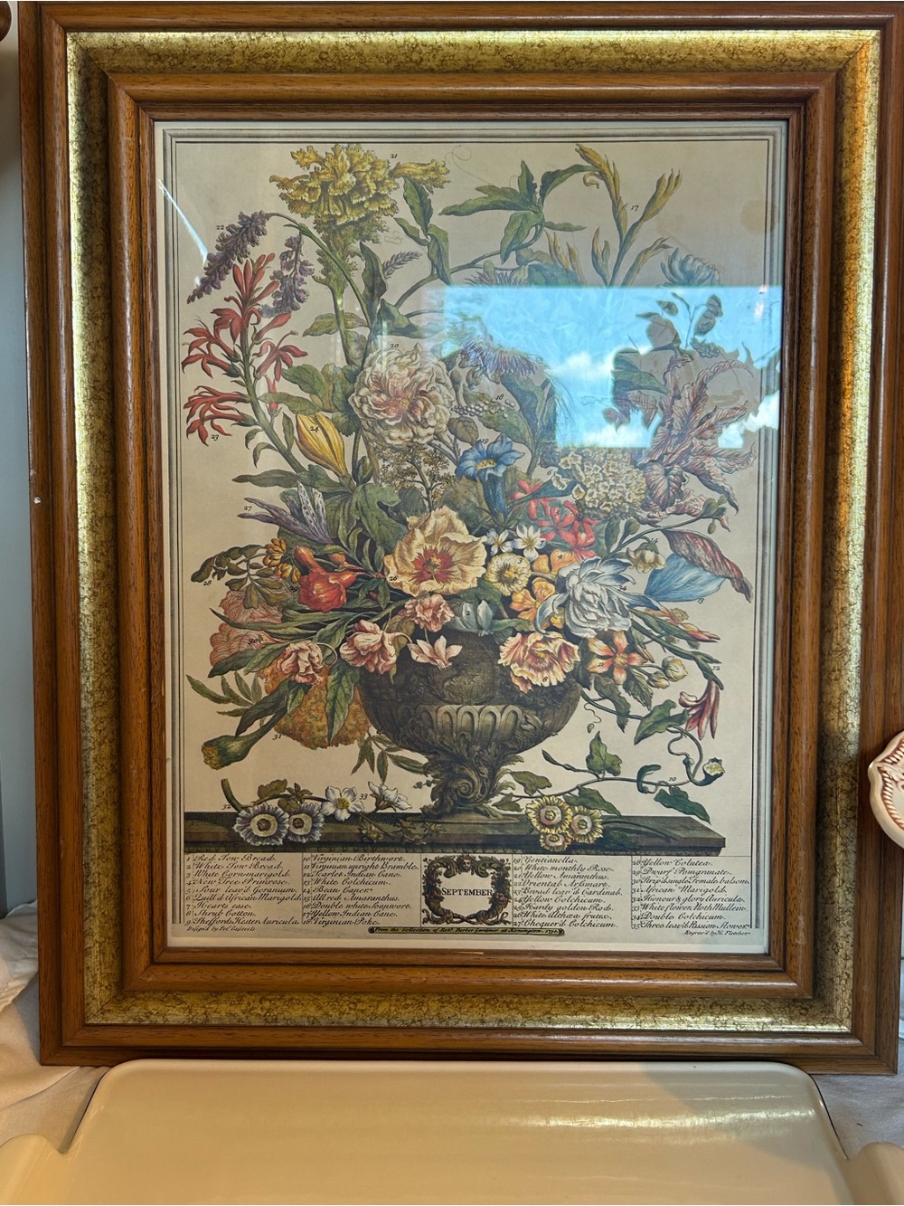 Vintage Robert Furber 12 months flowers September